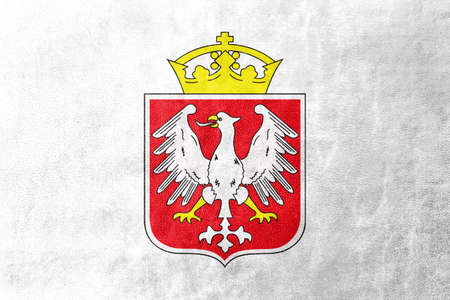 Flag of Gniezno, Poland, painted on leather textureの写真素材
