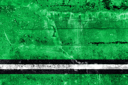 Flag of Osipovichi, Belarus, painted on dirty wallの写真素材