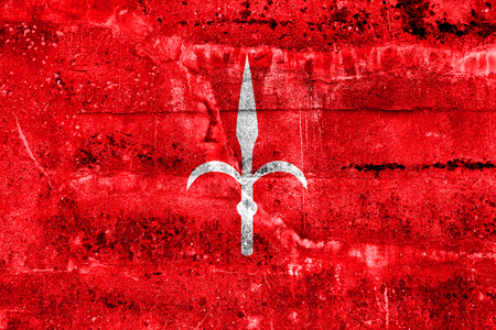 Flag of Trieste, Italy, painted on dirty wallの写真素材