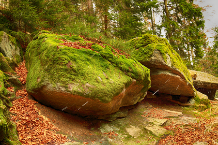 Karkonoski National Park, Szklarska Poreba, Polandの写真素材