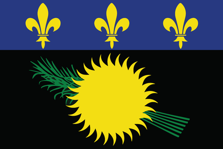 Flag of Guadeloupe (local), France. Vector Formatのイラスト素材