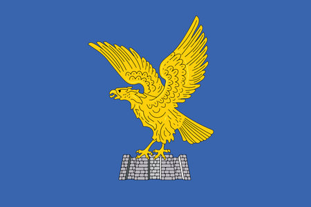 Flag of Friuli-Venezia Giulia, Italy. Vector Formatのイラスト素材