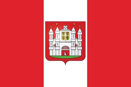 Flag of Mons with Coat of Arms, Belgium. Vector Formatのイラスト素材