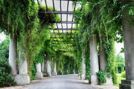 WROCLAW, POLAND - AUGUST 04, 2017: Pergola - a 640 meter long structure built in 1913 in the shape of a semi-ellipse as an integral part of the Centennial Hallâs Exhibition Grounds.のeditorial素材