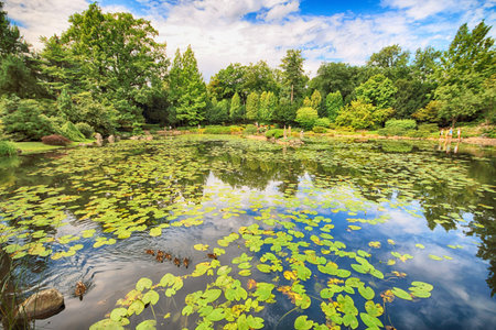 WROCLAW, POLAND - AUGUST 04, 2017: Japanese Garden is situated in the vicinity of the historical Pergola and Centennial Hall. It represents one of few traces after the World Expo in 1913.のeditorial素材