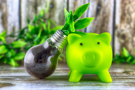 Piggy bank and plant growing inside the light bulb. Green eco energy concept. Electricity prices, energy saving.の写真素材