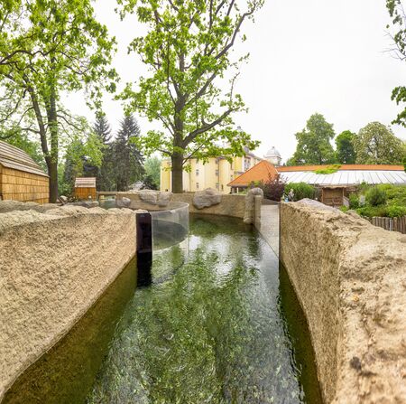 WROCLAW, POLAND - MAY 20, 2019: The Wroclaw Zoological Garden is the oldest and most visited zoo in Poland (and the fifth in Europe). It is also the largest collection of animals in Poland.のeditorial素材