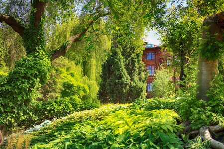 WROCLAW, POLAND - MAY 30, 2019: Botanical Garden in Wroclaw, Poland. The garden was built from 1811 to 1816 on the Cathedral Island (Ostrow Tumski), the oldest part of the city.のeditorial素材
