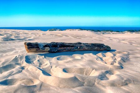 Slowinski National Park is situated on the Baltic Sea coast, near Leba, Poland. Desert landscape with the largest moving sand dunes in Europe. Hot summer day with clear sky, in the middle of summer.の写真素材