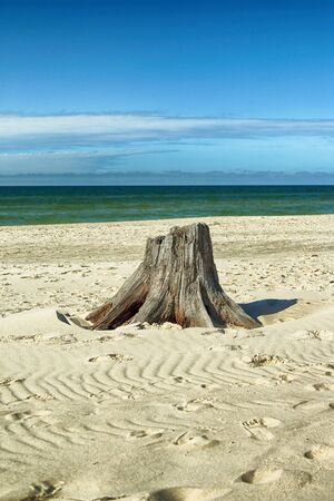 Slowinski National Park on the Baltic Sea coast, near Leba, Poland. Beautiful sandy beaches and coastal landscape on the walking trail between Leba and Moving Dunes.の写真素材