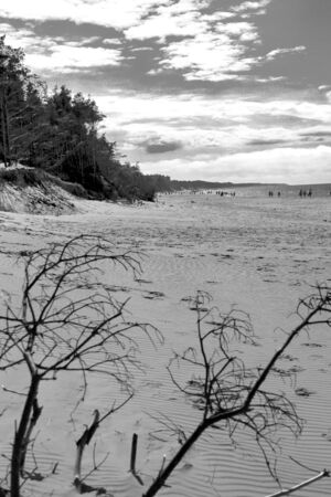 Slowinski National Park on the Baltic Sea coast, near Leba, Poland. Beautiful sandy beaches and coastal landscape on the walking trail between Leba and Moving Dunes.の写真素材
