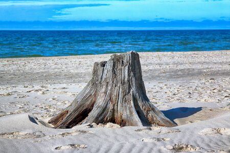 Slowinski National Park on the Baltic Sea coast, near Leba, Poland. Beautiful sandy beaches and coastal landscape on the walking trail between Leba and Moving Dunes.の写真素材
