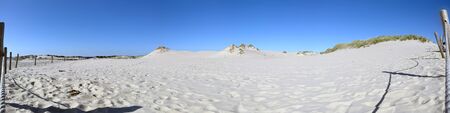 Slowinski National Park is situated on the Baltic Sea coast, near Leba, Poland. Desert landscape with the largest moving sand dunes in Europe. Hot summer day with clear sky, in the middle of summer.の写真素材