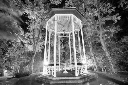 POLANICA ZDROJ, POLAND - AUGUST 26, 2019: The spa park in the center of Polanica Zdroj, Lower Silesia, south-western Poland. Night view.のeditorial素材