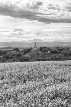 Slezanski Landscape Park near Wroclaw, Poland. Panorama view of the Sudetes mountains on the last days of September.の写真素材