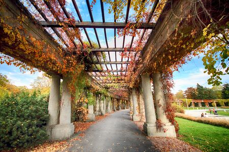 WROCLAW, POLAND - OCTOBER 18, 2019: Pergola - a 640 meter long structure built in 1913 in the shape of a semi-ellipse as an integral part of the Centennial Hall Exhibition Grounds.のeditorial素材