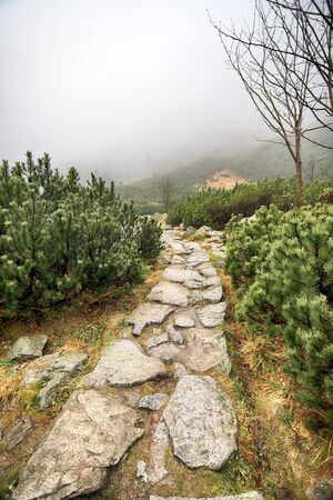 Tatra National Park in Polish High Tatra Mountains. Lake Morskie Oko (Eye of the Sea Lake) on a foggy and rainy day, Zakopane, Poland, Europe.の写真素材