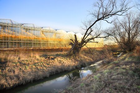 WROCLAW, POLAND - DECEMBER 03, 2019: Modern greenhouse complex located in Siechnice near Wroclaw, Poland, Europe. Citronex is a leading producer of greenhouse tomatoes in Poland.のeditorial素材