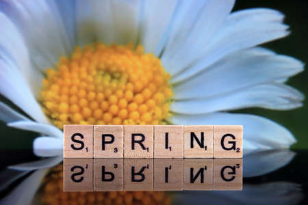 WROCLAW, POLAND - FEBRUARY 28, 2020: The word SPRING made of scrabble letters, and spring flower in the background. Studio shot.のeditorial素材