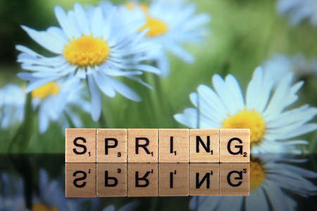 WROCLAW, POLAND - FEBRUARY 28, 2020: The word SPRING made of scrabble letters, and spring flowers in the background. Studio shot.のeditorial素材