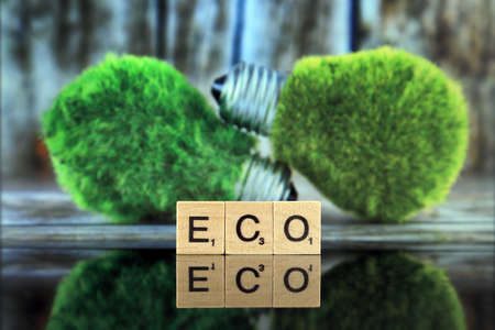 WROCLAW, POLAND - FEBRUARY 28, 2020: The word ECO made of scrabble letters, two green eco light bulbs with grass and wooden background. Renewable energy and energy saving concept.のeditorial素材