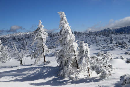 KARPACZ, POLAND - MARCH 08, 2020: Tourist trail to Sniezka (mountain on the border between the Czech Republic and Poland). Winter landscape. Giant Mountains, Poland, Europe.のeditorial素材