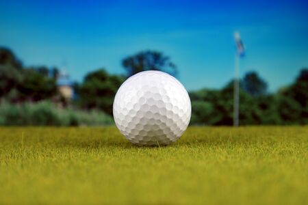 Golf ball on a golf course.の写真素材