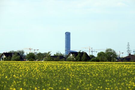 Blooming rapeseed field on a sunny day in the middle of may near Wroclaw, Poland. Spring landscape.の写真素材