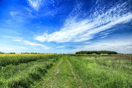 Empty, local road among blooming rapeseed field on a sunny day, in the middle of may near Wroclaw, Poland. Spring landscape.の写真素材