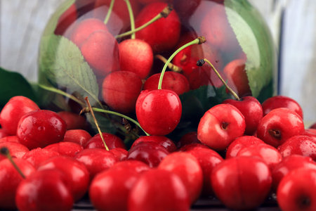 Fresh, healthy, real cherries from organic farming, ecological harvest on wood background.