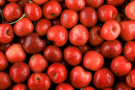 Fresh, healthy, real cherries from organic farming, ecological harvest background.