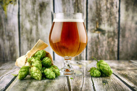 Glass of craft beer and fresh hop cones on a wooden background.の写真素材