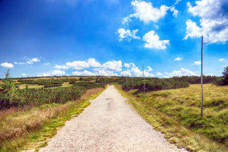 Tourist trail in the Giant Mountains. Hiking trail on the border between Poland and the Czech Republic.の写真素材