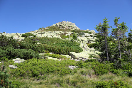The rock formation Labski Szczyt or Violik (in Polish and Czech), is a mountain peak (1471 m above...
