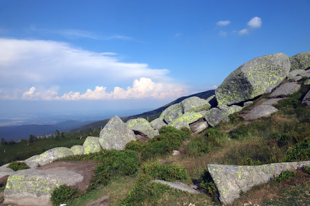 Twaroznik or Tvaroznik (in Polish and Czech) is a large granite rock, 12.5 m high, with a characteristic flat block at the top, on the border between Poland and the Czech Republic.の写真素材