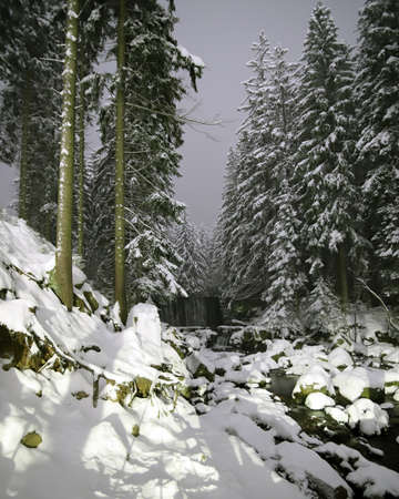 Wild waterfall in Karpacz by night. Winter landscape in the Polish mountains. River and rocks covered with snow. Giant Mountains, Poland, Europe.の写真素材
