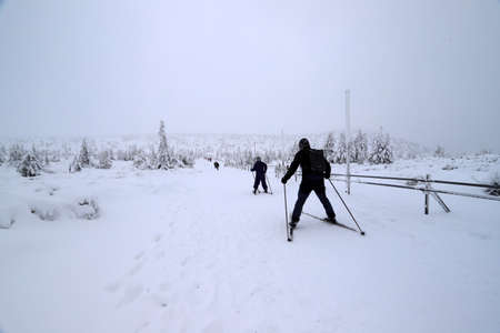 Tourist trail to Sniezka (mountain on the border between the Czech Republic and Poland). Winter landscape. Giant Mountains, Poland, Europe.の写真素材