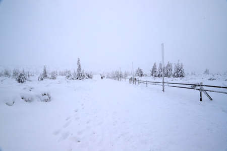 Tourist trail to Sniezka (mountain on the border between the Czech Republic and Poland). Winter landscape. Giant Mountains, Poland, Europe.の写真素材