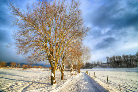 Beautiful winter landscape from the vicinity of Karpacz. Giant Mountains, Poland, Europe.の写真素材