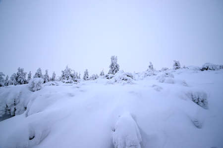 Tourist trail to Sniezka (mountain on the border between the Czech Republic and Poland). Winter landscape. Giant Mountains, Poland, Europe.の写真素材