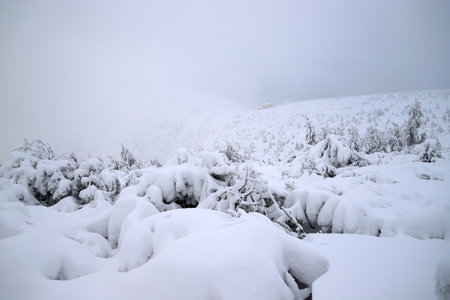 Tourist trail to Sniezka (mountain on the border between the Czech Republic and Poland). Winter landscape. Giant Mountains, Poland, Europe.の写真素材