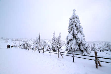 Tourist trail to Sniezka (mountain on the border between the Czech Republic and Poland). Winter landscape. Giant Mountains, Poland, Europe.の写真素材