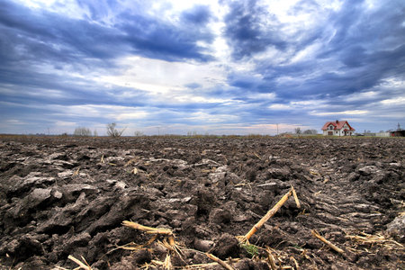 Preparing field for planting. Plowed soil in spring time.