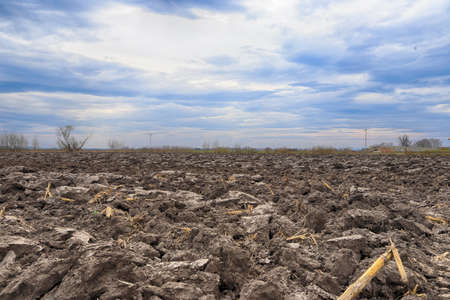 Preparing field for planting. Plowed soil in spring time.の写真素材