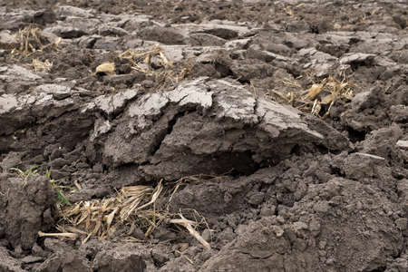 Preparing field for planting. Plowed soil in spring time.の写真素材