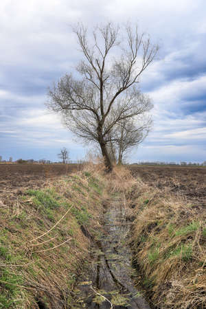 Preparing field for planting. Plowed soil in spring time.の写真素材