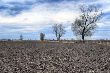 Preparing field for planting. Plowed soil in spring time.の写真素材