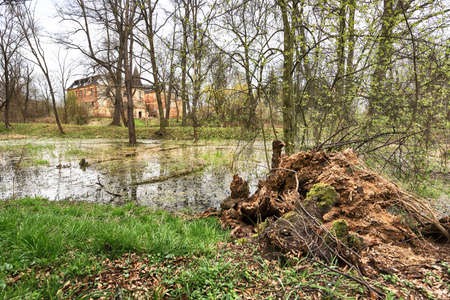 WROCLAW, POLAND - APRIL 11, 2021: Palace in Komorowice near Wroclaw, Poland. Beautiful palace park at the beginning of spring.のeditorial素材