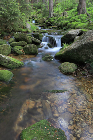 Swieradowka - a mountain stream in the Izera Mountains, Poland, Europe.の写真素材