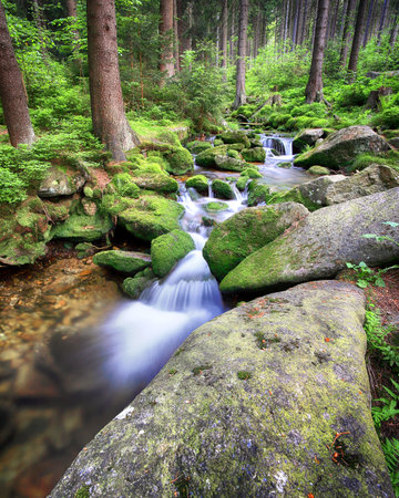 Swieradowka - a mountain stream in the Izera Mountains, Poland, Europe.の写真素材